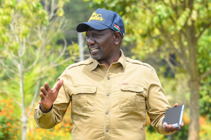 Deputy President William Ruto has laughed off a proposal by a section of politicians to postpone the 2022 General Election.