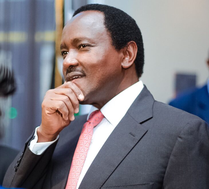 Kalonzo Musyoka  does not want to deputise Raila Odinga like he has done before.