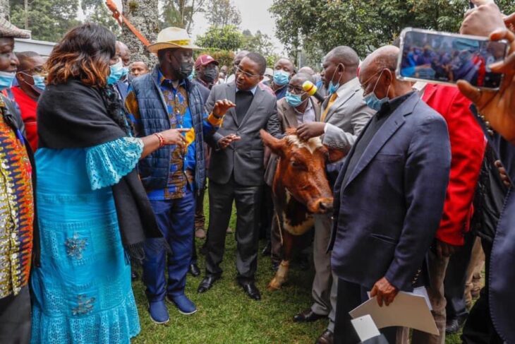 Nyeri County Speaker John Kaguchia has said that Raila Odinga cannot be sold in the Mt Kenya region.