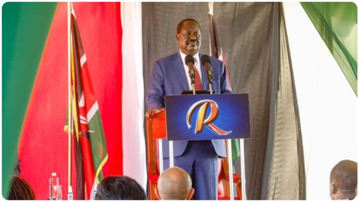 Raila Odinga's party divided over plan to kick out IEBC boss