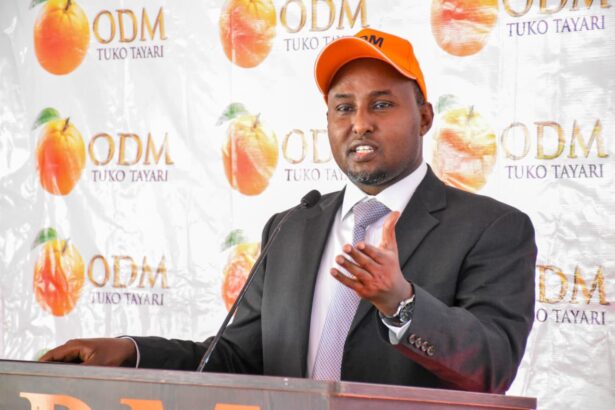Suna East MP Junet Mohammed has termed the move by President Ruto’s regime to oust the four dissenting IEBC commissioners as ‘dangerous’ to the country.