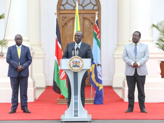 During the presidential campaigns, the then deputy president William Ruto claimed that his boss President Uhuru Kenyatta had sidelined him in the running of the Jubilee government.