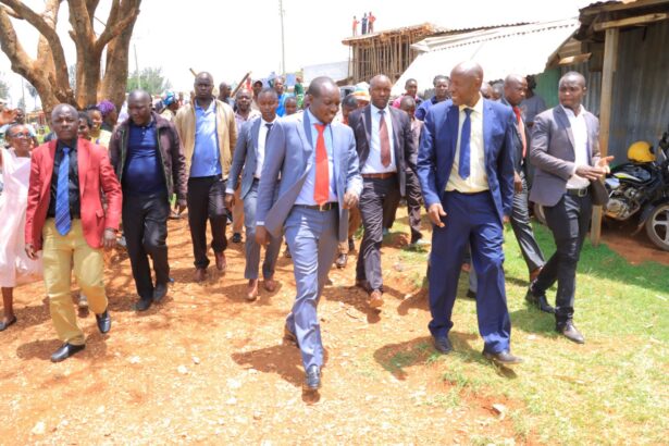 Kisii Governor Simba Arati on Wednesday, April 12, announced that his administration has set aside KSh 126 million to help parents pay school fees.