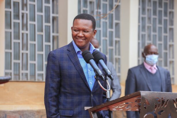Foreign and Diaspora Affairs Cabinet Secretary Alfred Mutua has dismissed Wiper party leader Kalonzo Musyoka’s claims that Kambas are cowards.