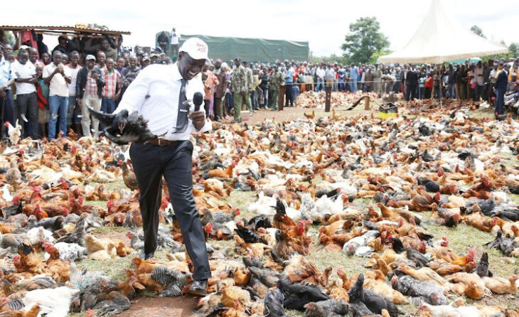 Deputy President William Ruto has revealed that he makes KSh 1.5 Million daily from selling eggs.