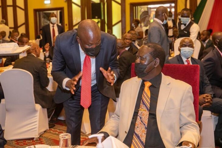 Kieni MP Kanini Kega has said that he is supporting Raila Odinga’s presidency in 2022 because he has the interests of Mt Kenya at heart.