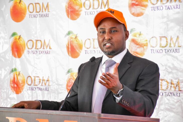 Raila Odinga’s camp has dismissed claims by William Ruto’s camp that the ODM leader is too old to engage in campaigns across the country.