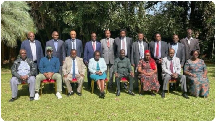 William Ruto’s senator Margaret Kamar joins Raila Odinga’s camp