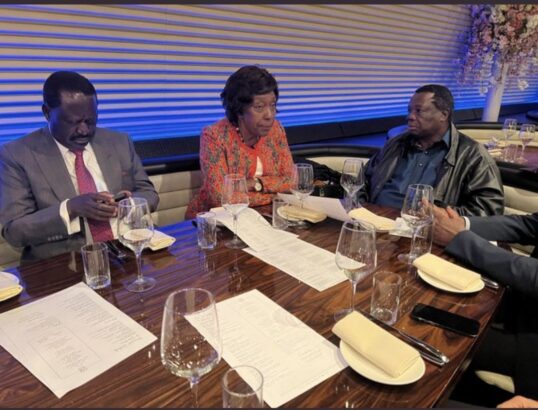 Francis Atwoli meets Kenyans in London to counter Ruto’s viral meeting 