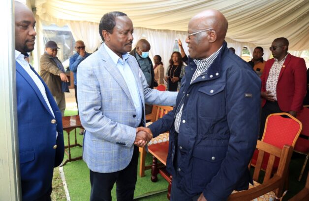 Deputy President William Ruto's allies have urged the Wiper leader Kalonzo Musyoka not to embarrass himself by appearing before the Azimio One-Kenya Coalition vetting panel tasked with identifying a suitable running-mate to the ODM leader Raila Odinga.