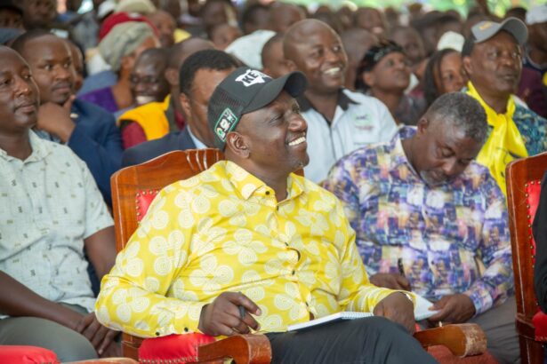 With 96 days to the General Election, Deputy President William Ruto remains the most popular presidential candidate ahead of the ODM leader Raila Odinga according to the latest polls.
