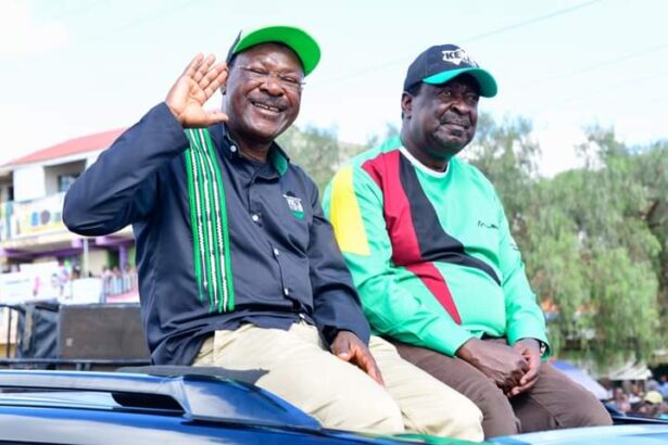 Deputy President William Ruto is banking on Amani National Congress leader Musalia Mudavadi and his Ford Kenya counterpart Moses Wetang'ula to dislodge the ODM leader Raila Odinga from the Mulembe nation.