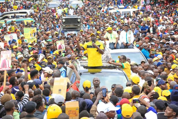 On Monday, July 4, Kenya Kwanza presidential candidate William Ruto took his campaigns to Meru County to popularize his hustler manifesto ahead of his titanic battle with Raila Odinga.