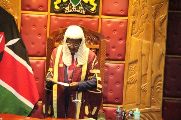 On Tuesday, November 1, the 13th parliament was marred with disruptions over the appointment of the new clerk of the National Assembly.