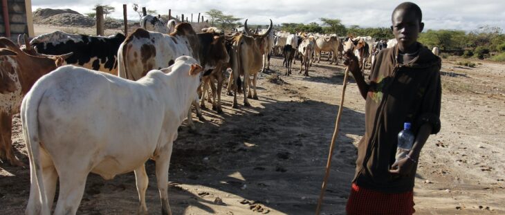 The country has in the recent past experienced rising cases of insecurity in the North Rift region due to cattle rustling.