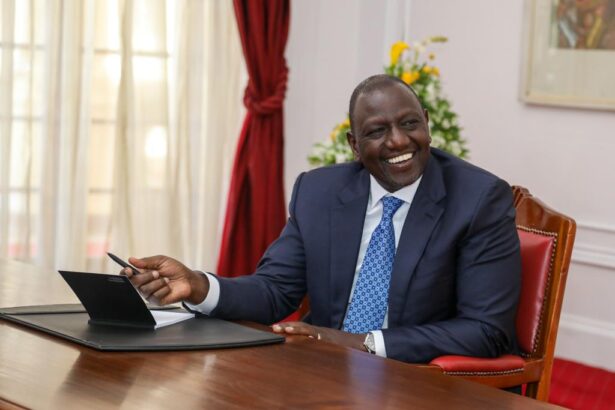 Kenya’s President William Ruto on Friday, January 20, made changes to the Kenya Electricity Transmission Company (KETRACO) board.