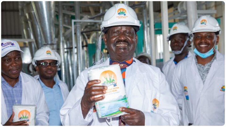 Former Prime Minister Raila Odinga in November 2022 officially launched the Kigoto maize milling plant in Suba, Homa Bay County.